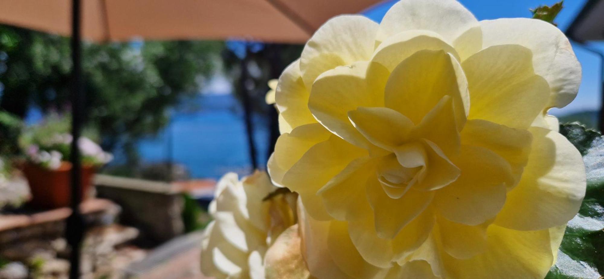 Villamara Luxury Rooms La Spezia Zewnętrze zdjęcie